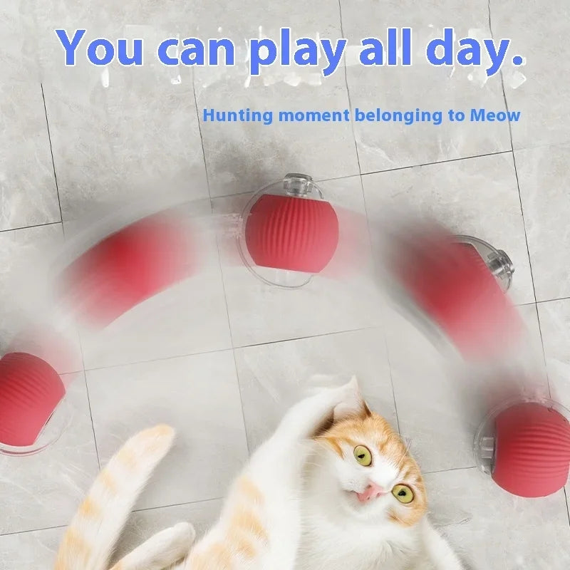 🎉Catch&Play – The Ultimate Smart Hunting Ball for Active Pets🐾