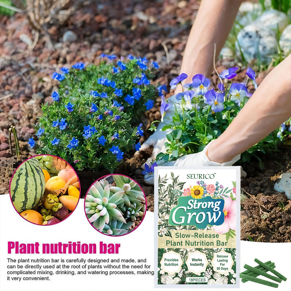 🔋Plant Stick Nutrition Bar & Unlock the secret to thriving plants🌱