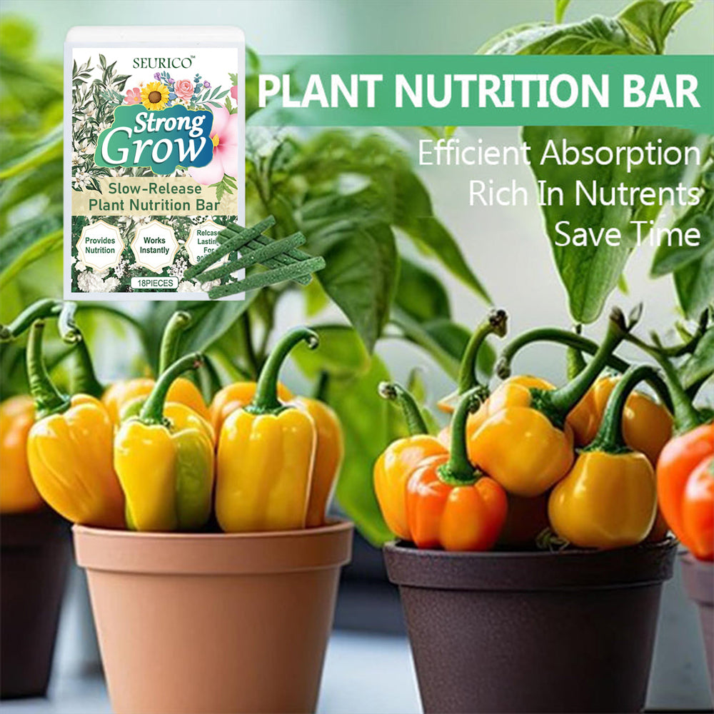 🔋Plant Stick Nutrition Bar & Unlock the secret to thriving plants🌱