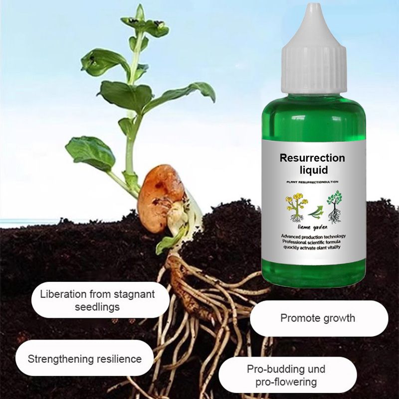 🌿Plant Resurrection Liquid: Breathe New Life Into Your Greenery!🌱