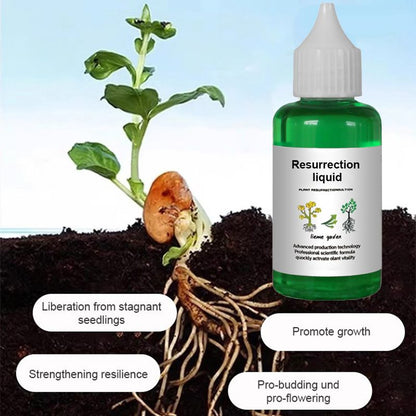 🌿Plant Resurrection Liquid: Breathe New Life Into Your Greenery!🌱